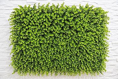 玩家打造《星露谷物语》风格《我的世界》MOD 颇为还原